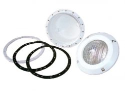 100w-12v Sıva Üstü Vidalı